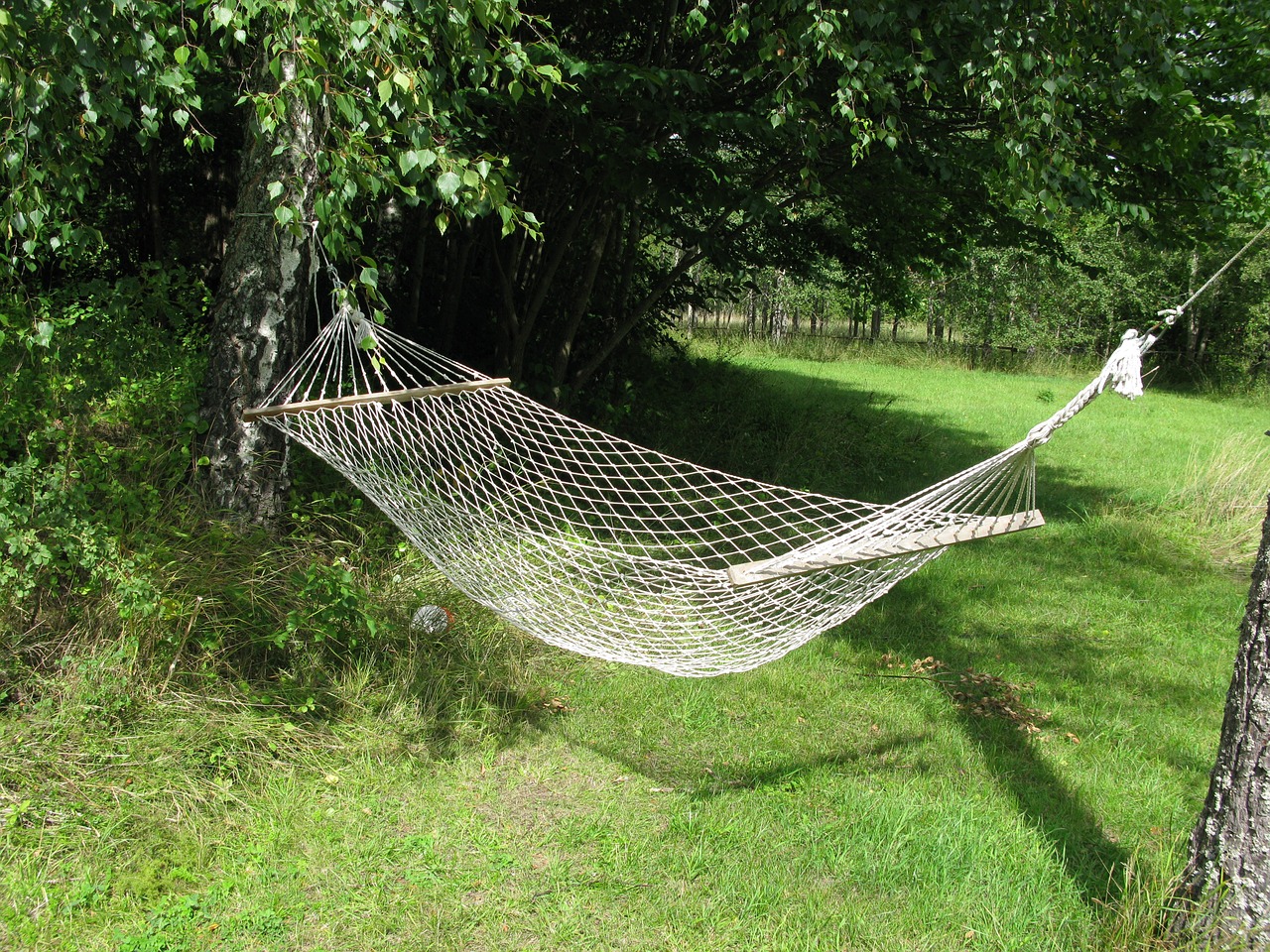 roslagen summer hammock free photo