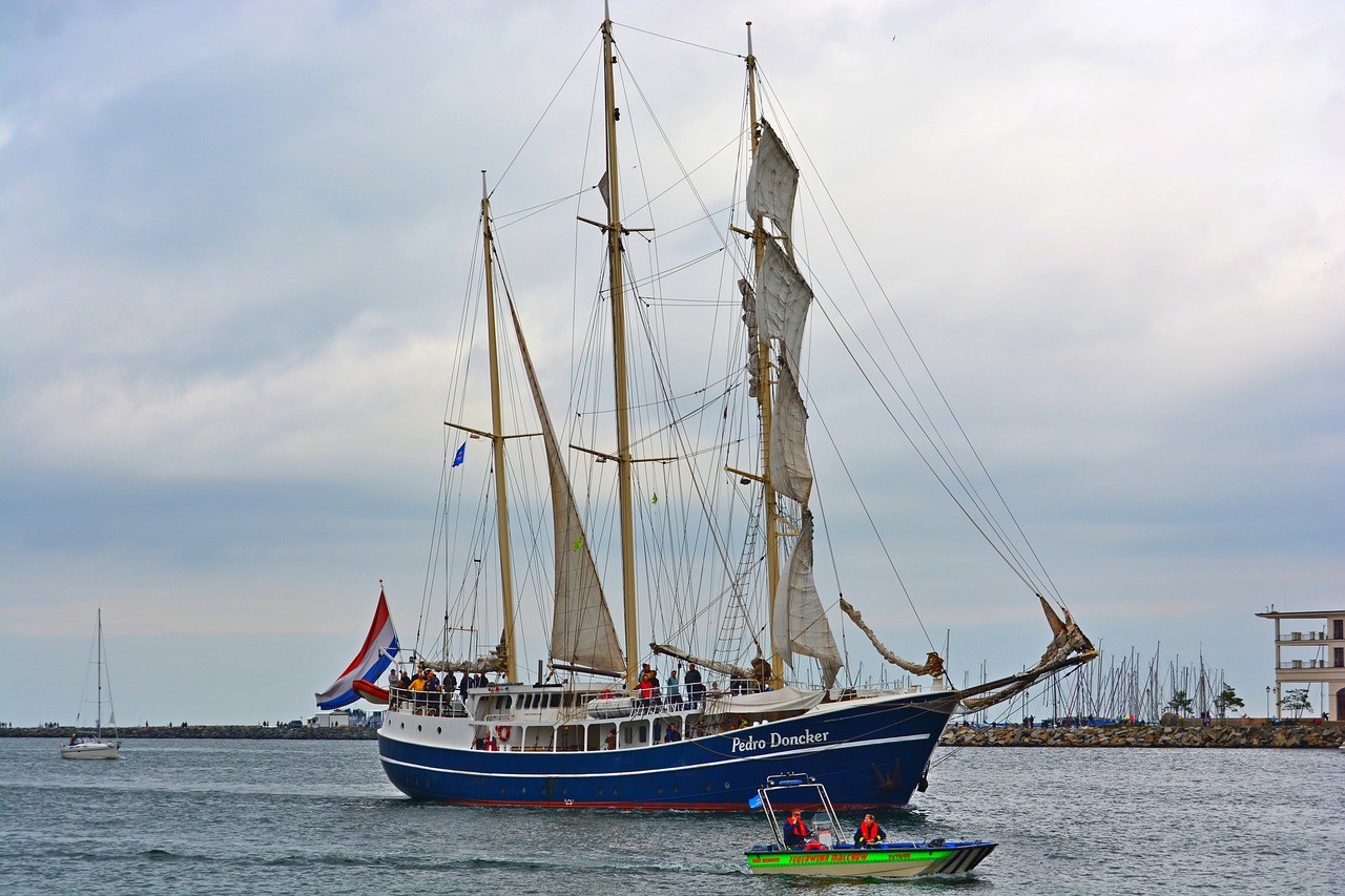 rostock hanse sail maritime free photo