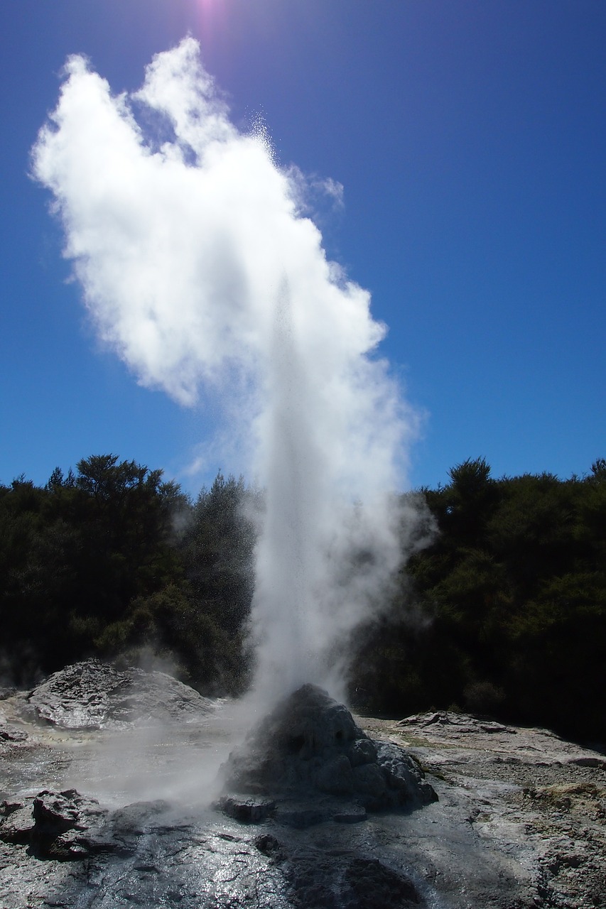 rotorua geyser new zealand free photo