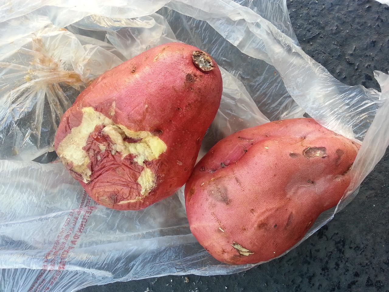 rotten sweet potatoes japan market exchange is not free photo