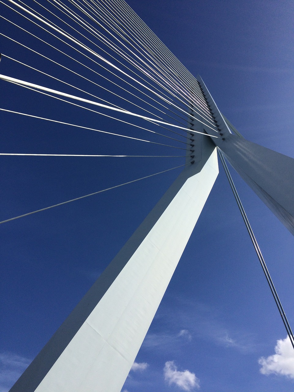 rotterdam erasmus bridge blue sky free photo