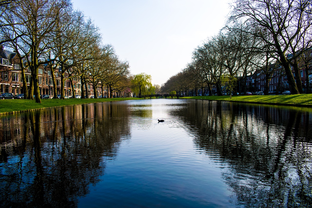 rotterdam river riverside free photo