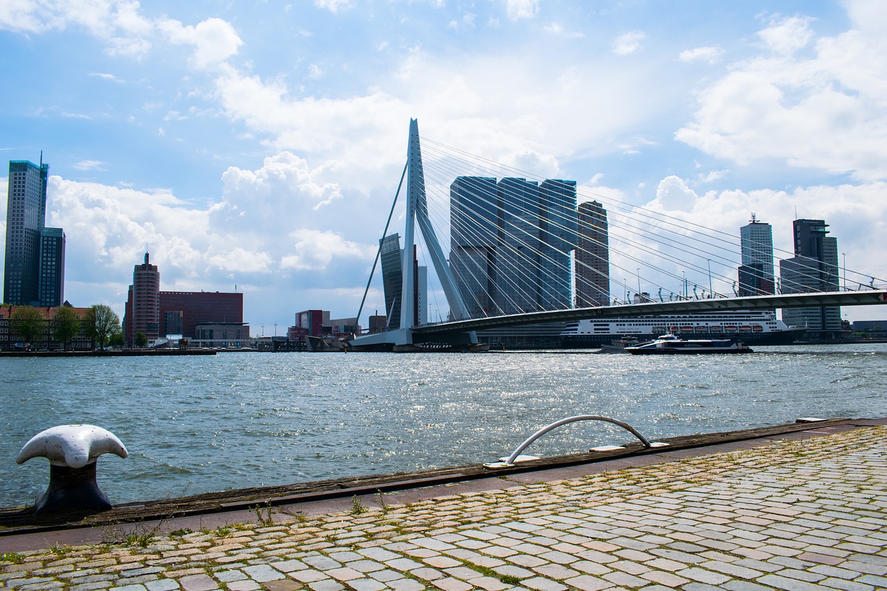 rotterdam bridge architecture free photo