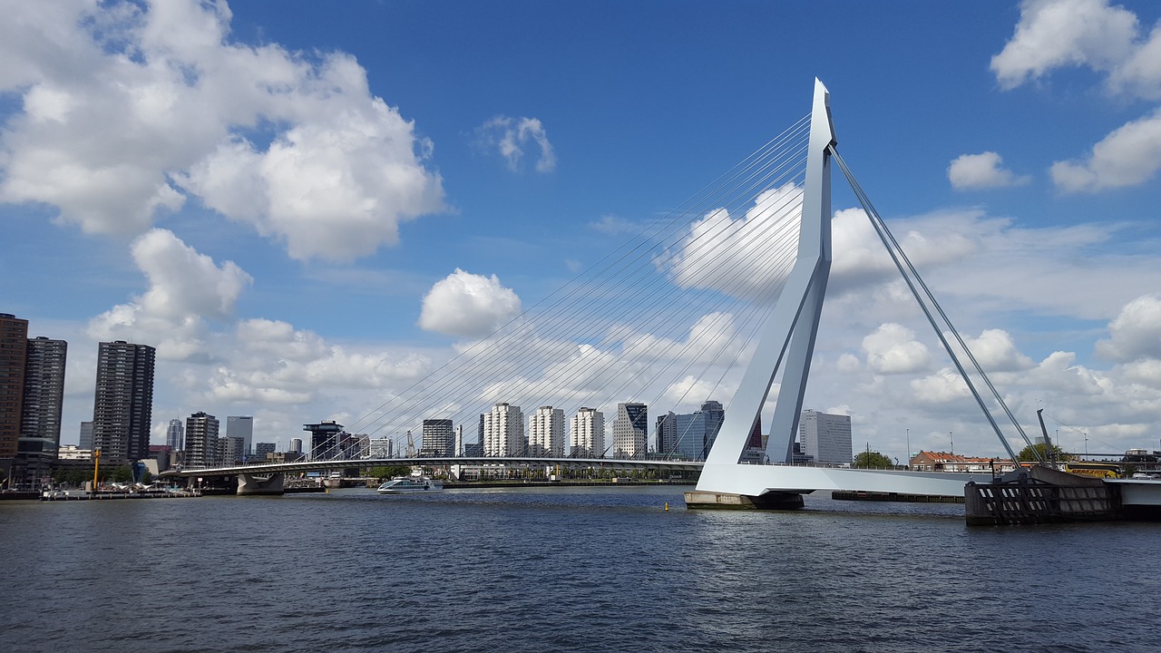 rotterdam bridge architecture free photo