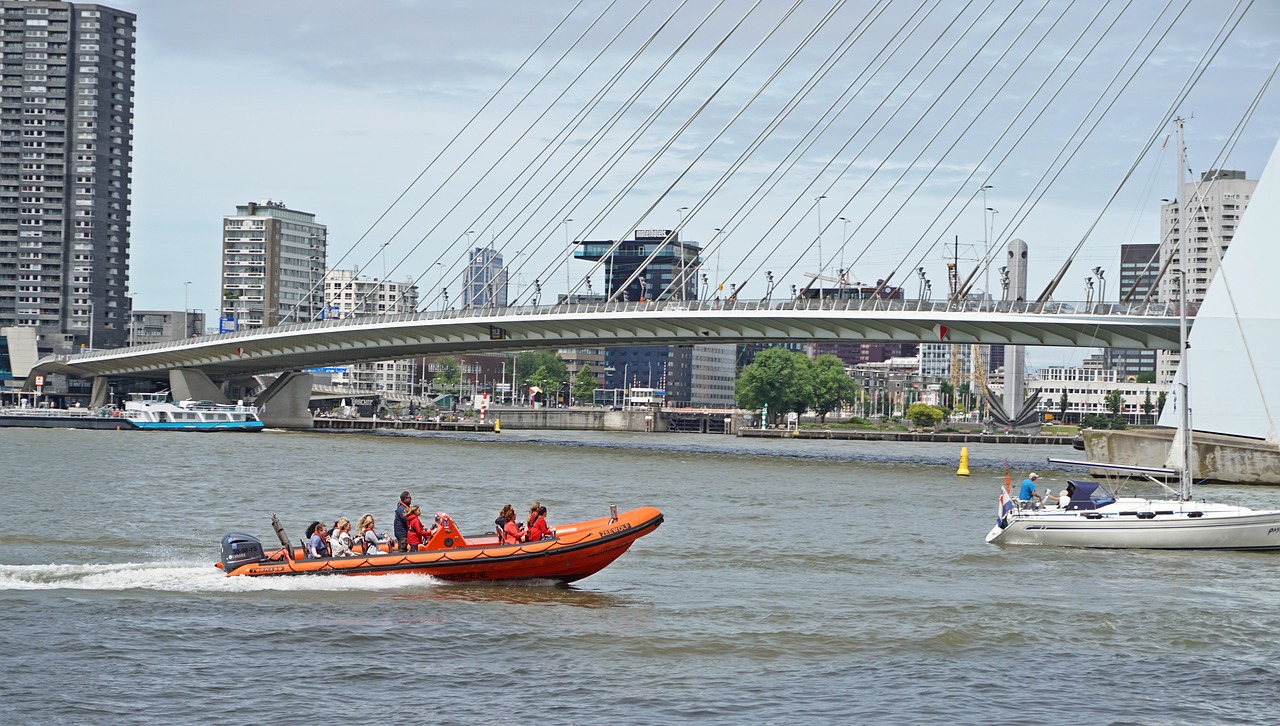 rotterdam  erasmus bridge  boat free photo