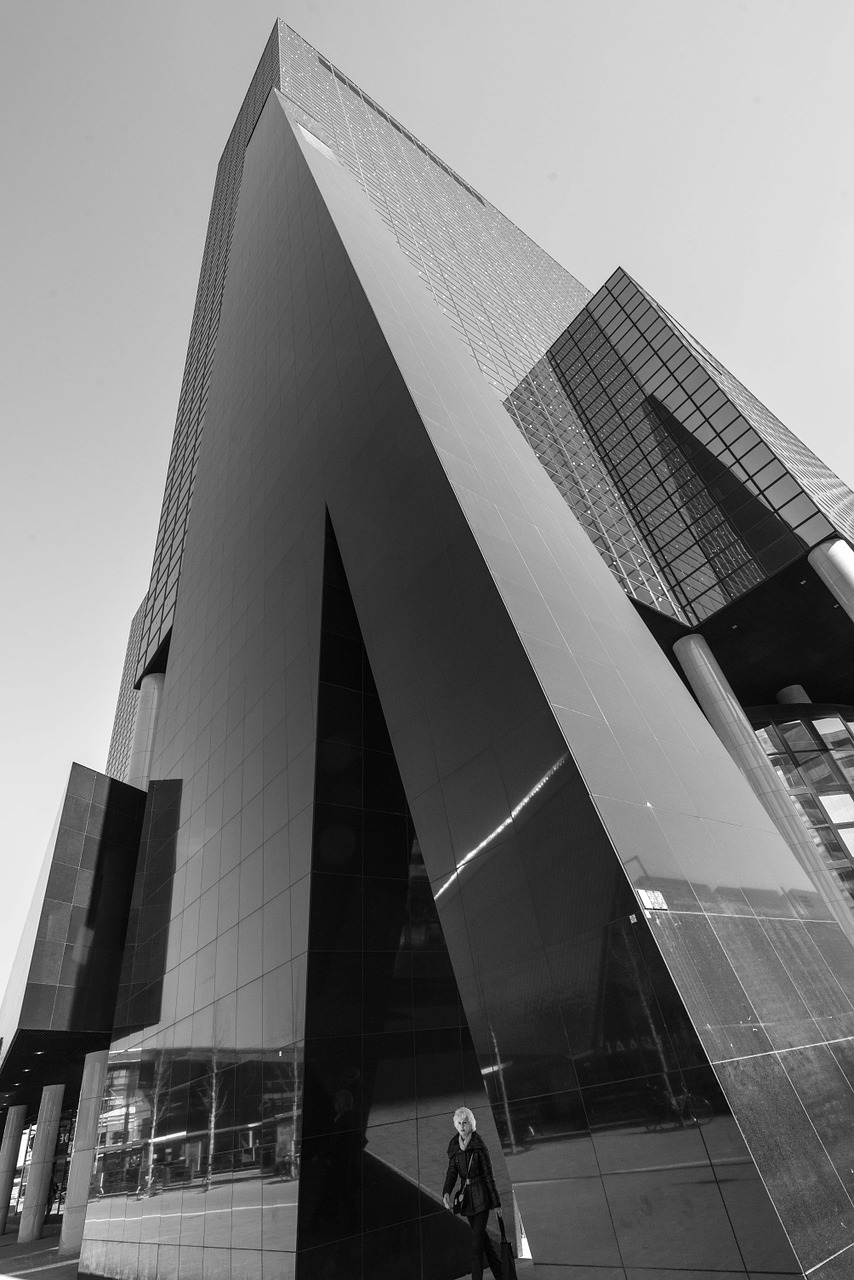 rotterdam black and white building free photo