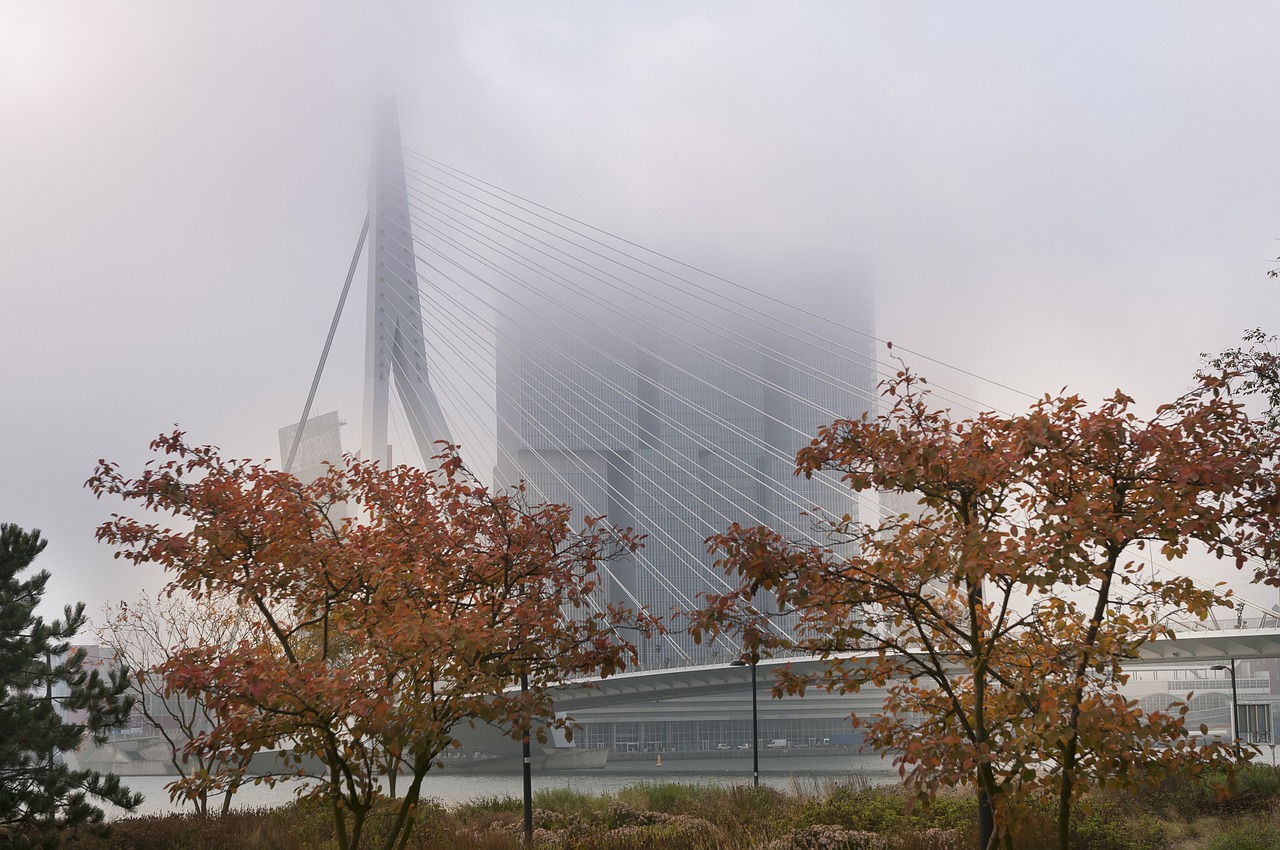 rotterdam fog erasmus bridge free photo