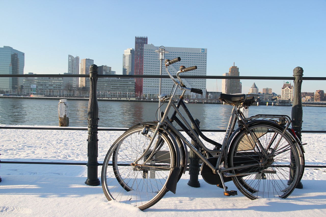 rotterdam mesh cycling free photo