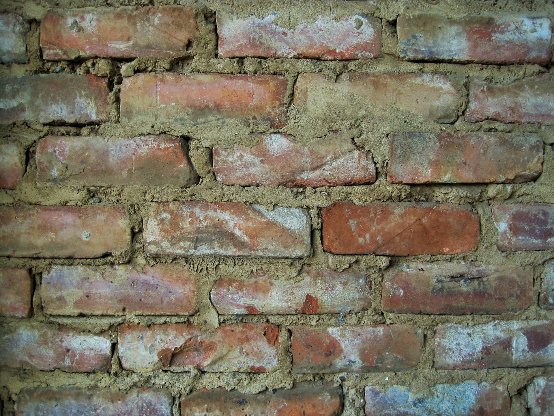 wall brick red free photo