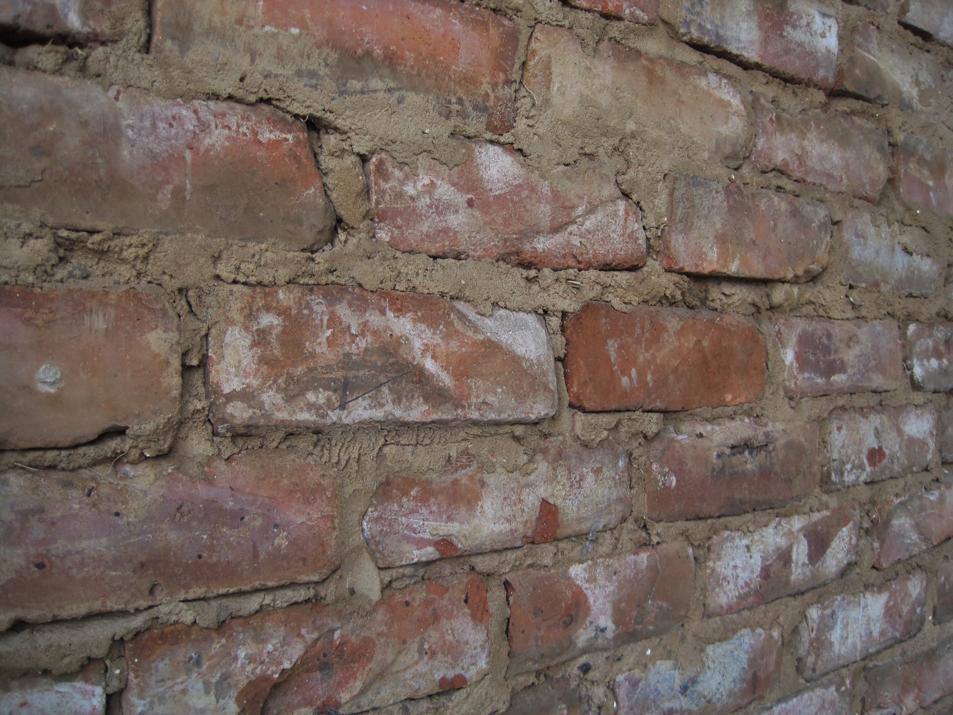 wall brick red free photo