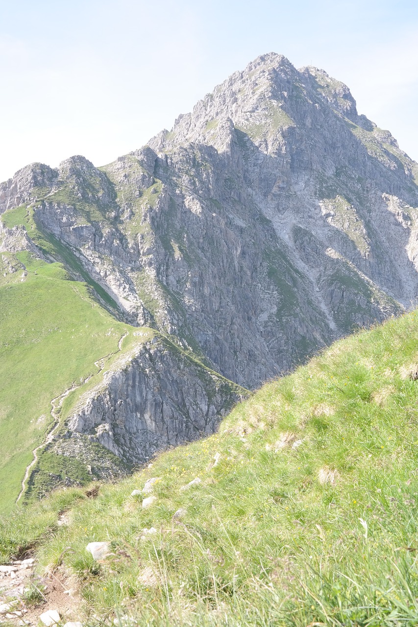 rough horn mountain summit free photo