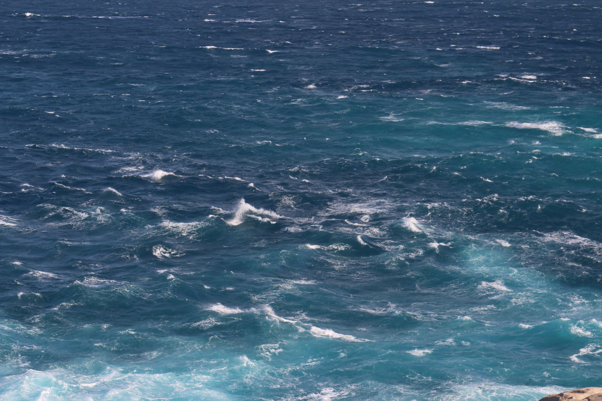 ocean rough turbulent free photo