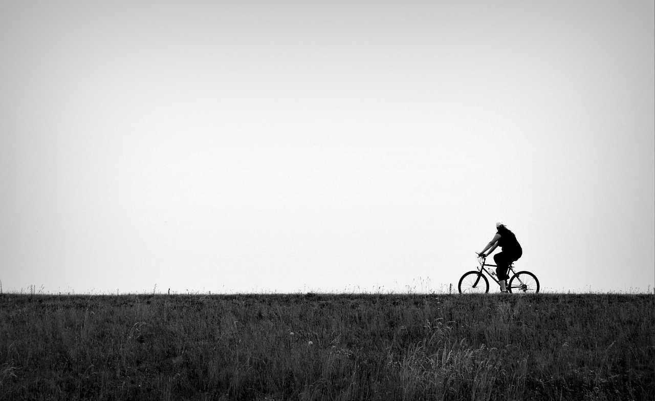 round ride black and white free photo