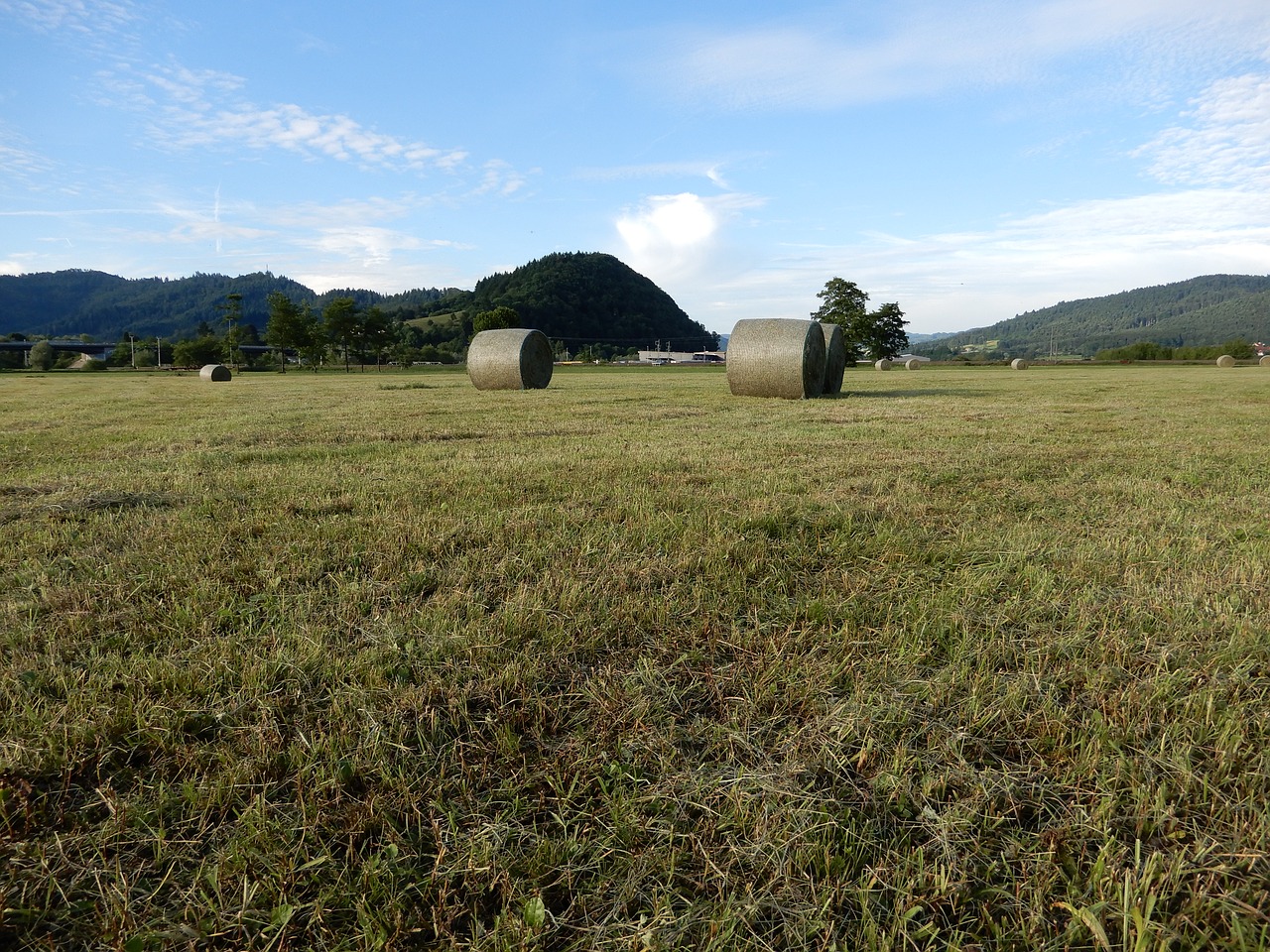 round bales pasture agriculture free photo