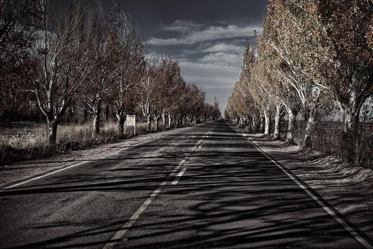 route  mendoza  argentina free photo