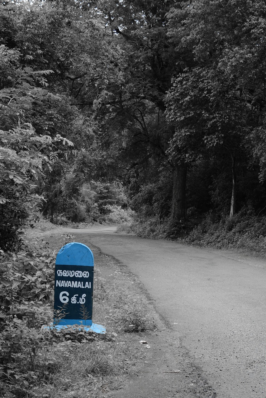 route marker forest road navamalai free photo