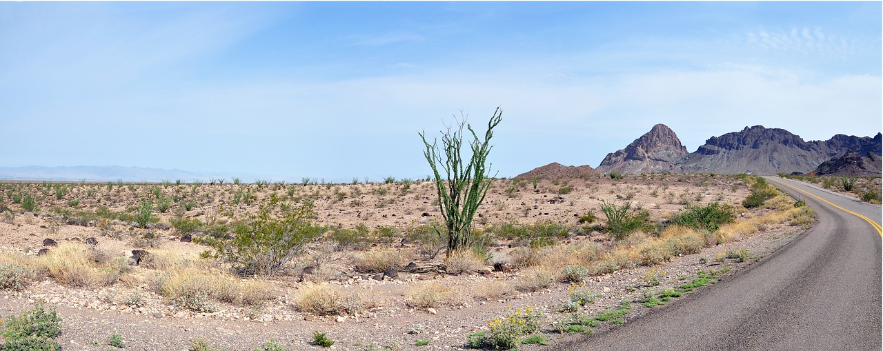 route66  usa  arizona free photo