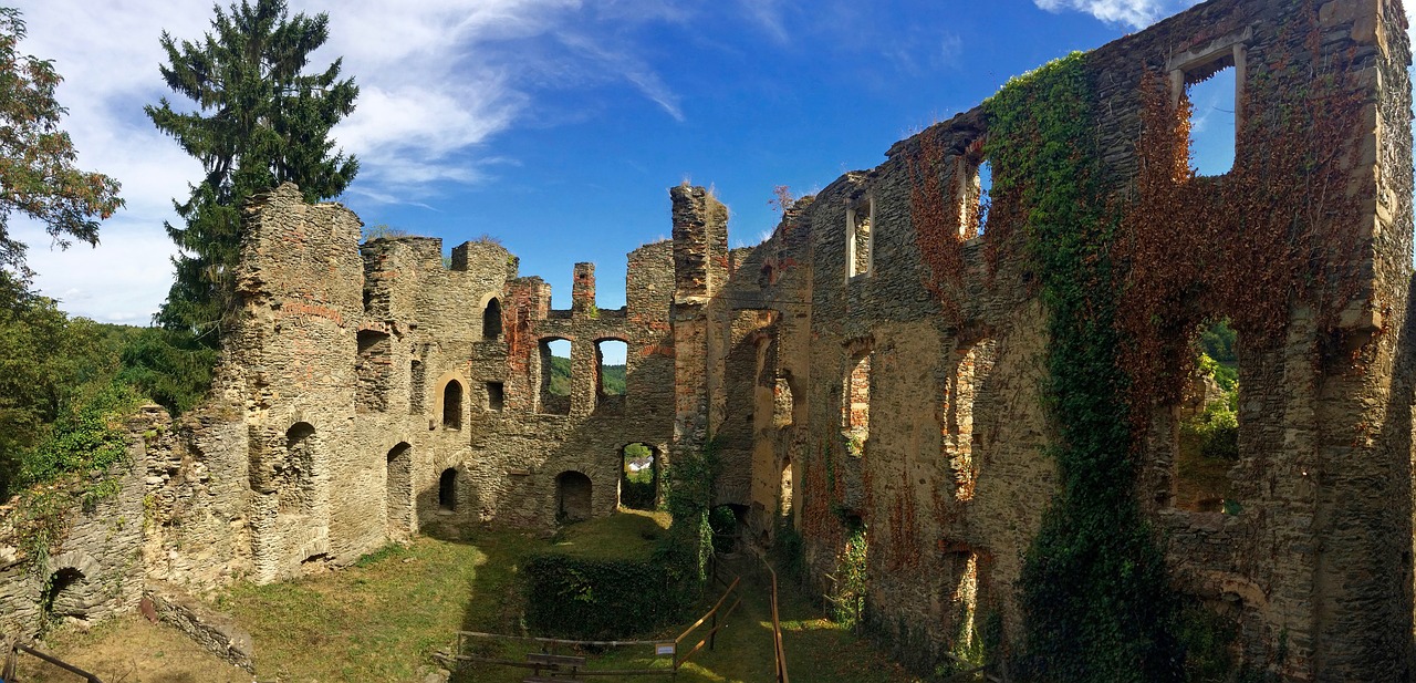 dalberg castle ruins free photo