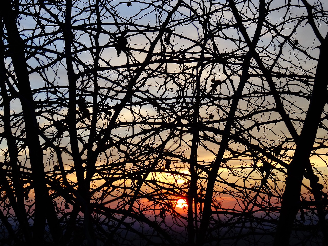 rovi sunset season free photo