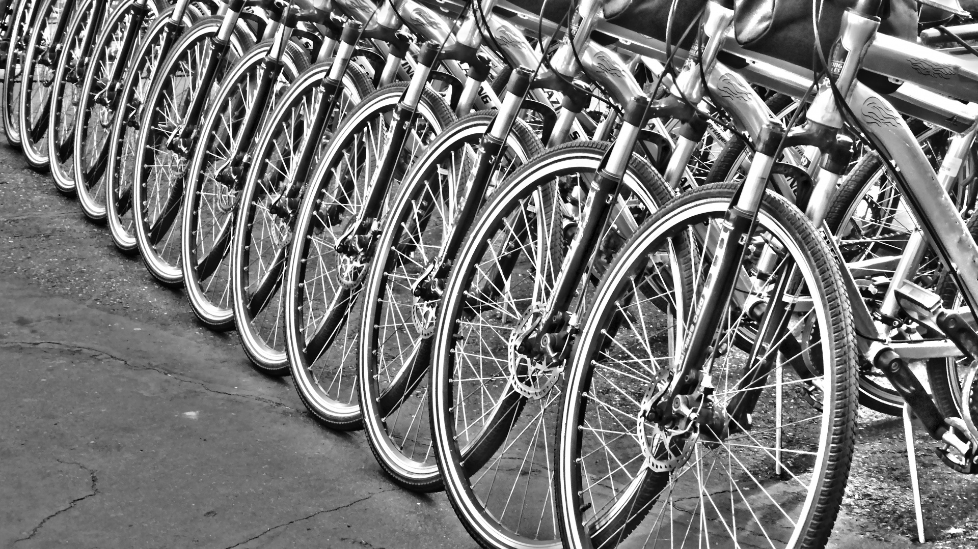 bicycle bicycles bike free photo