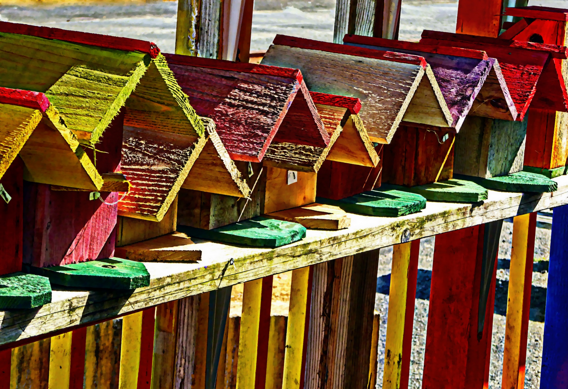 bird houses bird house birdhouse free photo