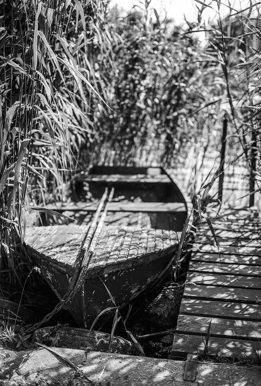 rowboat reed lake free photo
