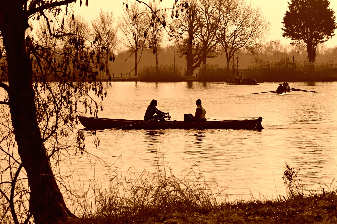 rowboat  canoe  rowing free photo