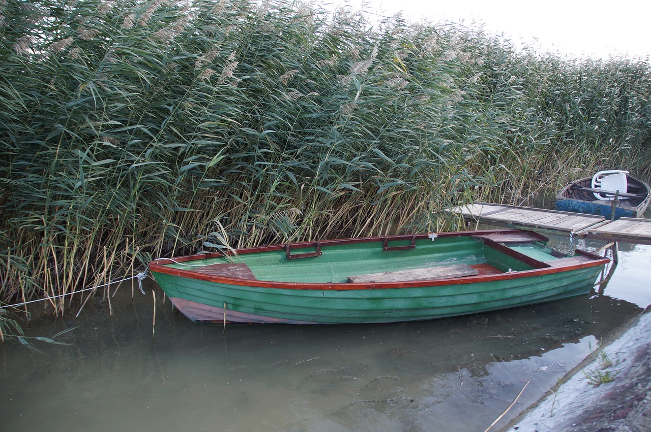 rowboat barge reed free photo