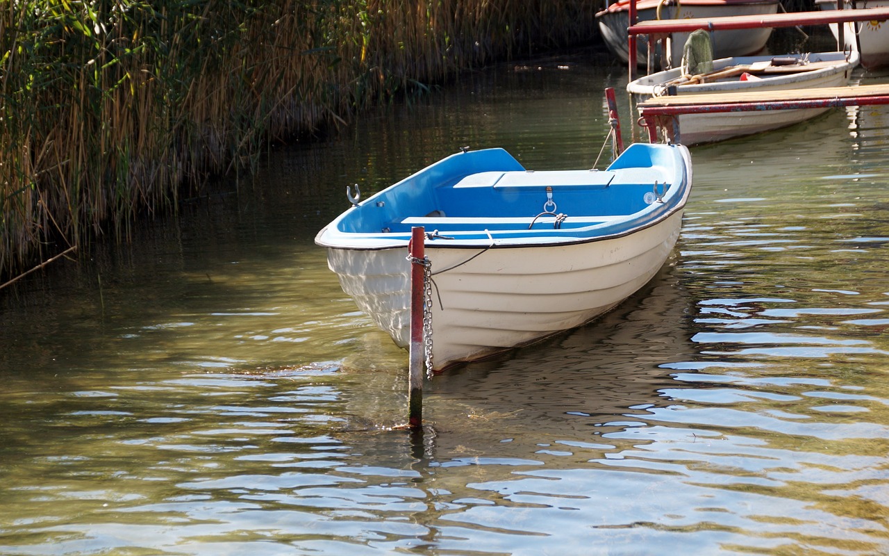 rowboat boat punts free photo