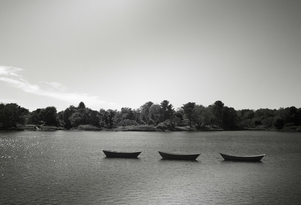 rowboats boats skiffs free photo