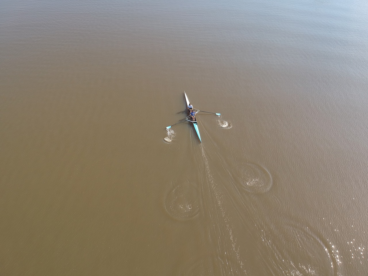 rower  sportsman  boats free photo