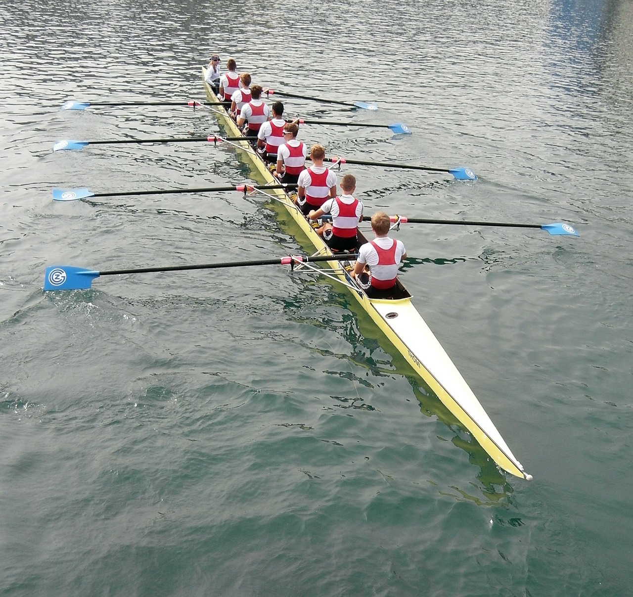 rowing lucerne reuss sprint free photo