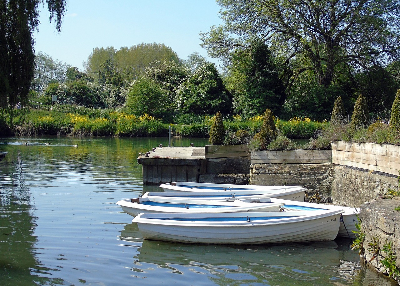 rowing  boat  water free photo