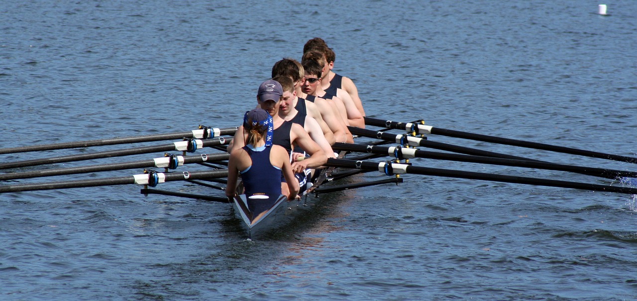 rowing  scullers  oars free photo