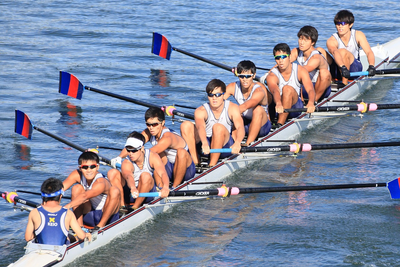 rowing  boat  sports free photo