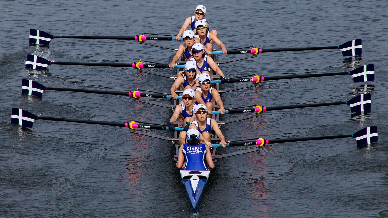 rowing  boat  sports free photo