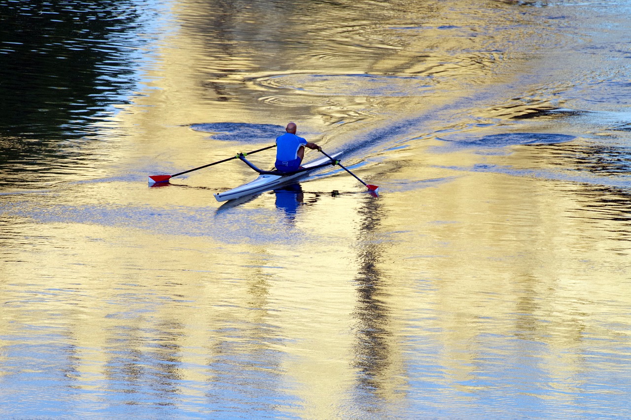 rowing  tiber  river free photo