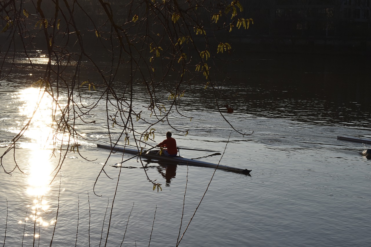 rowing  river  sun free photo