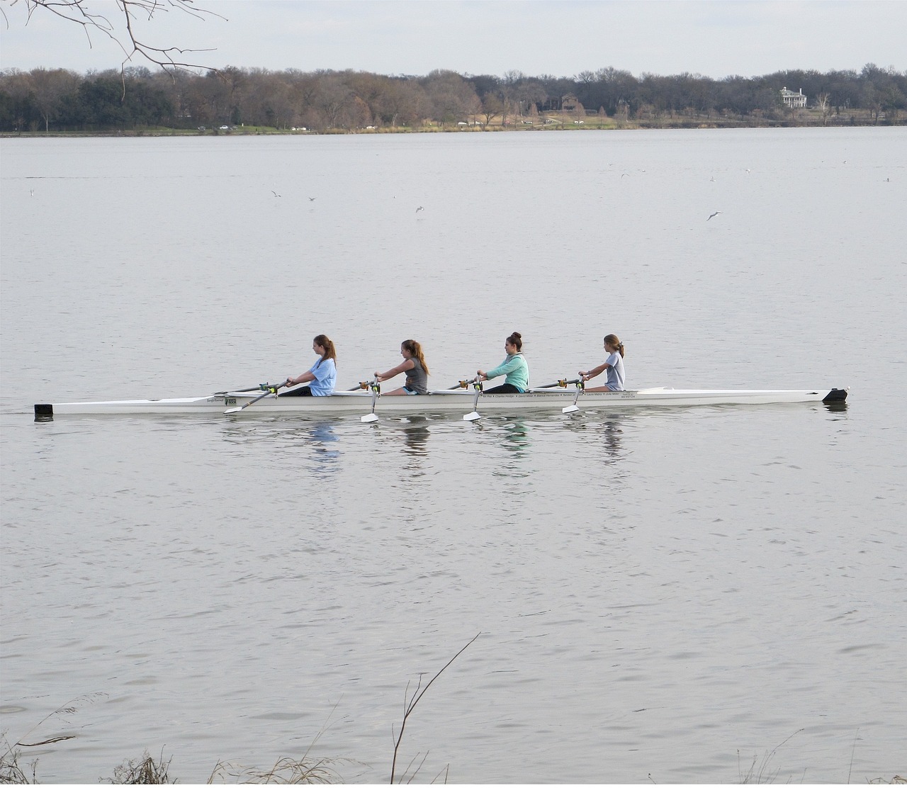 rowing scull club free photo