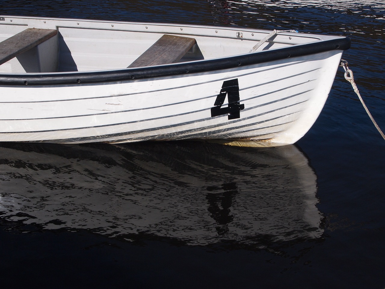 rowing boat lake free photo