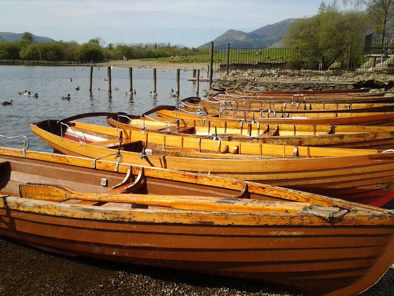 rowing boat cumbria lake district free photo