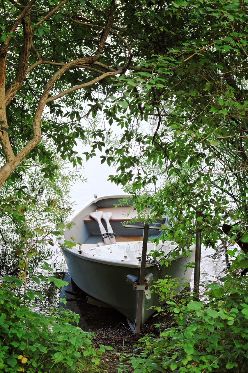 rowing boat trees green free photo