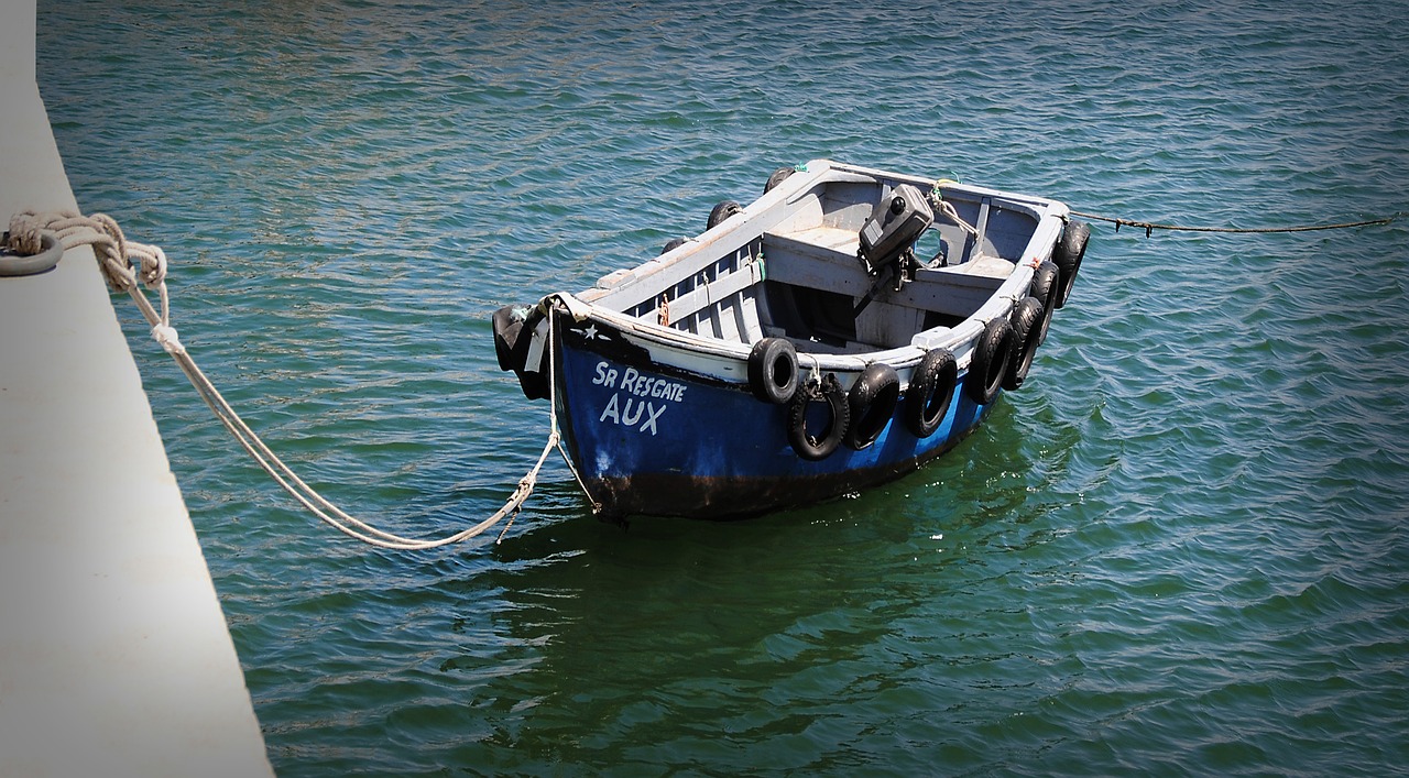 rowing boat boot blue free photo