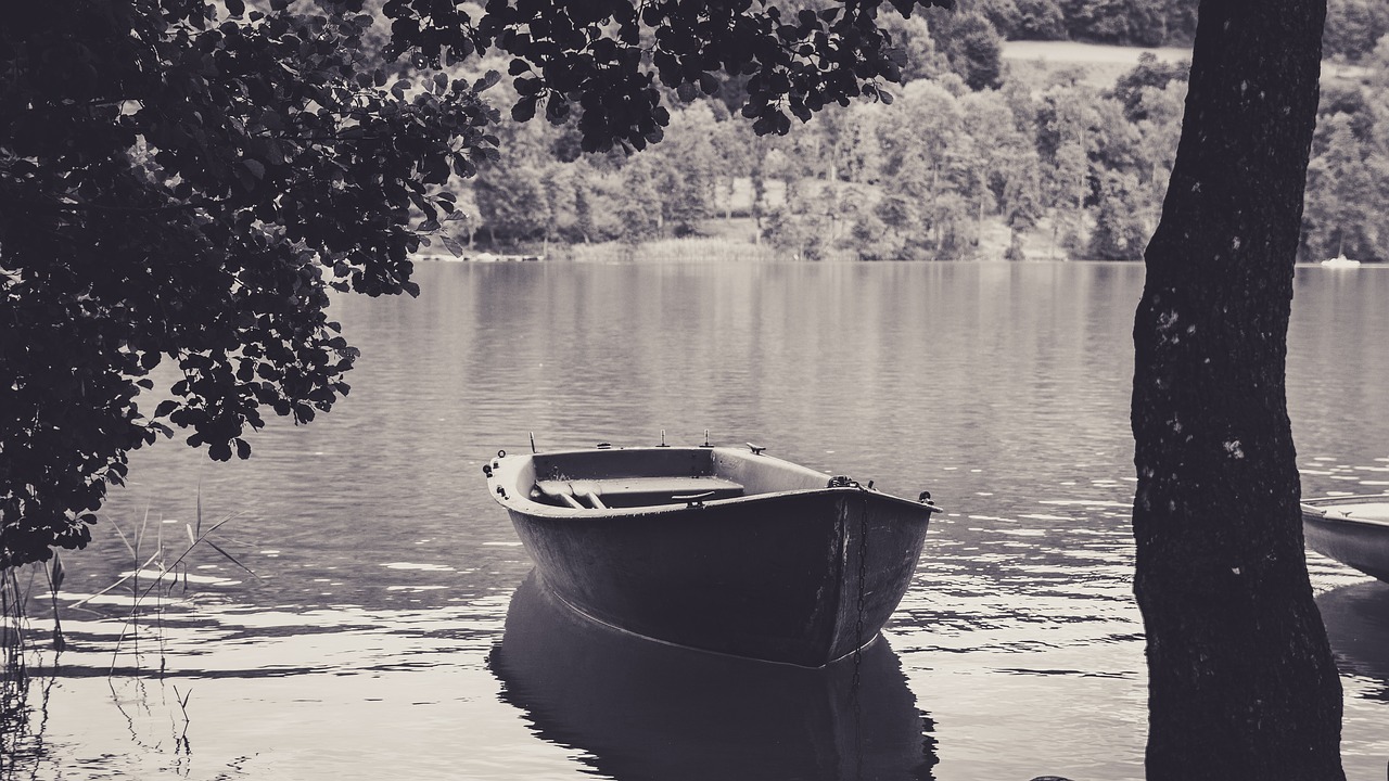 rowing boat ilmen lake lake free photo