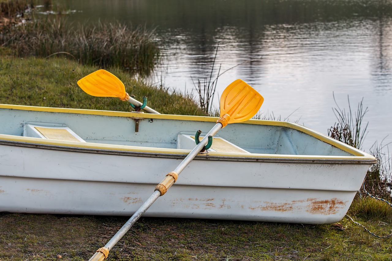rowing boat rowboat oar free photo