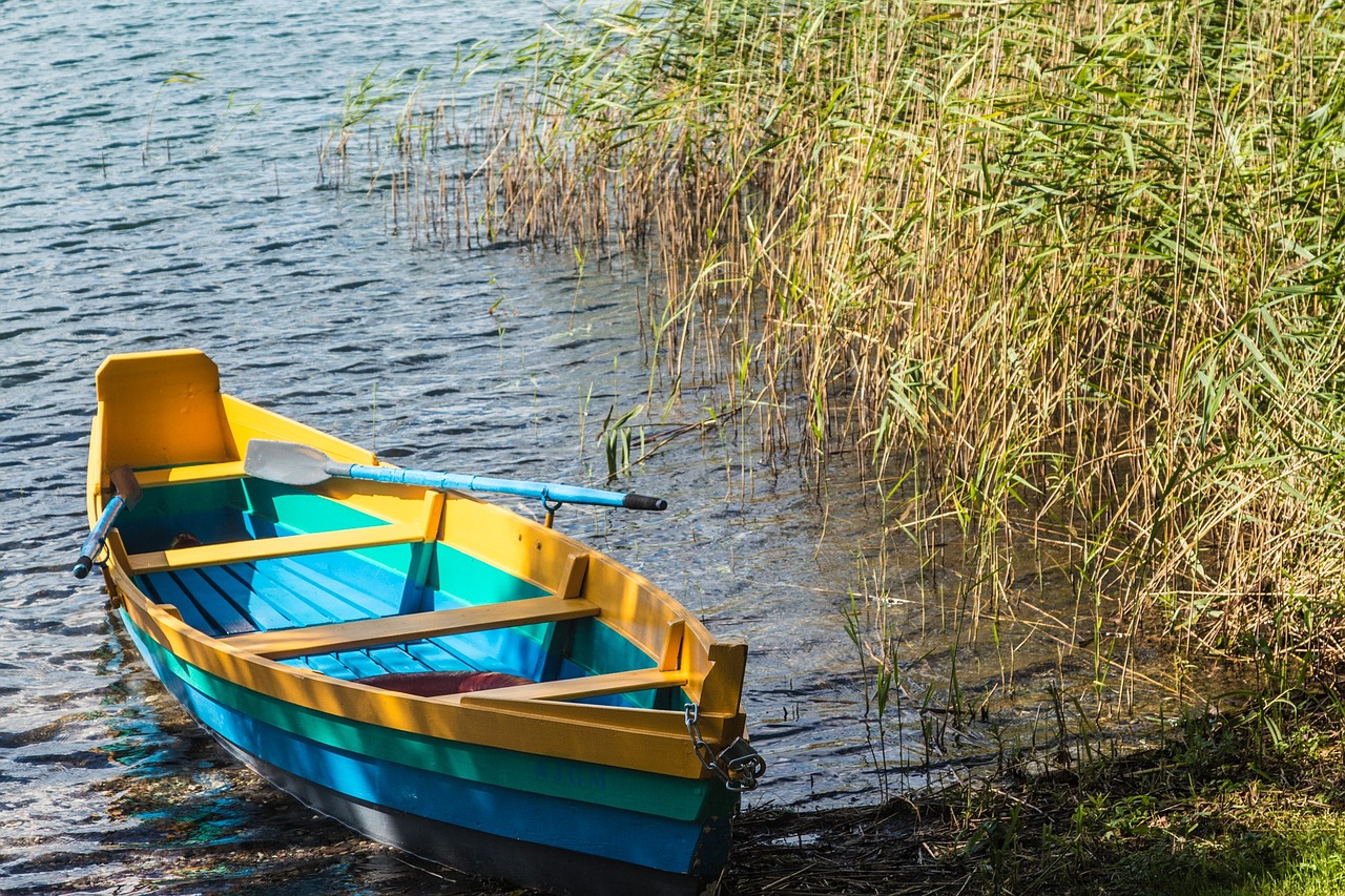 rowing boat boot water free photo