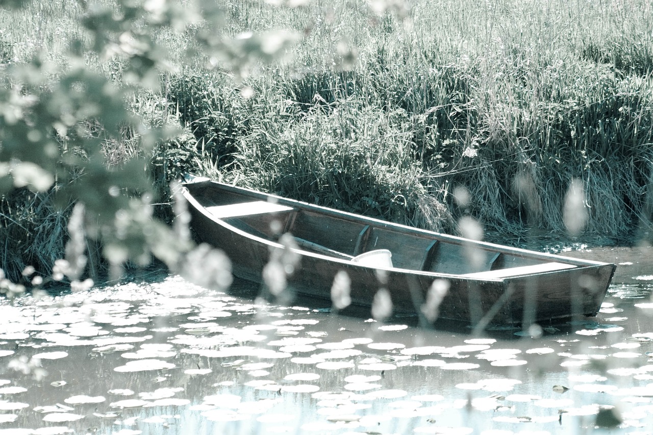 rowing boat boot lake free photo