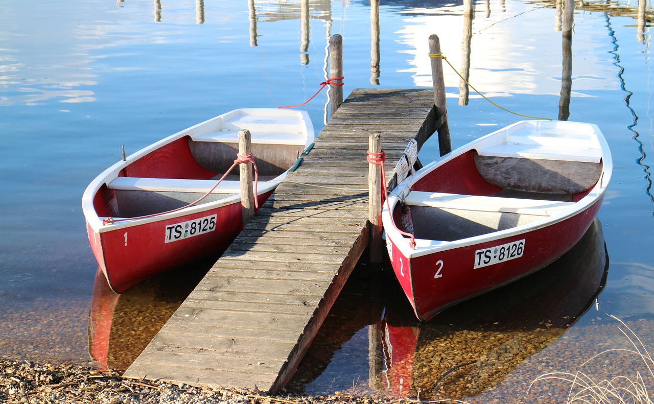 rowing boats rowing boat water free photo