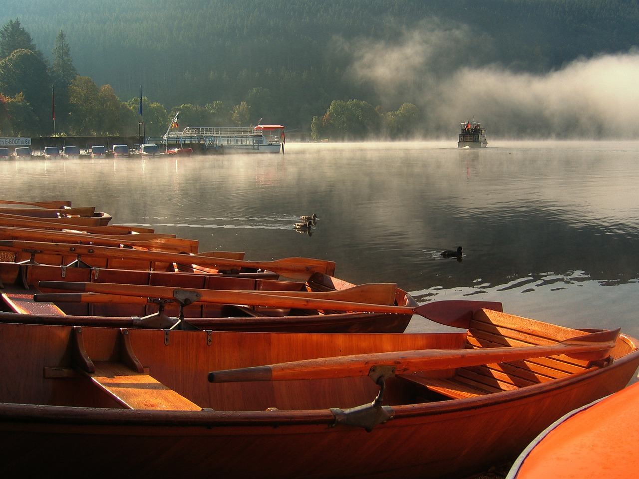 rowing boats fog boats free photo