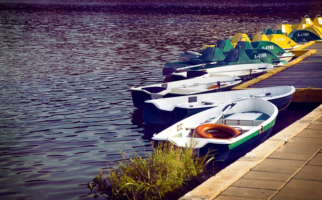 rowing boats lake boats free photo